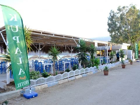 Shots from the Beach